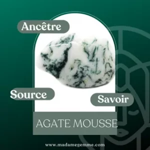 Vertus de l'Agate Mousse : Ancêtre, Source, Savoir