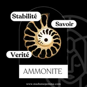 Vertus de l'ammonite : Stabilité, Savoir, Vérité