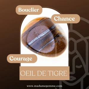 Vertus de l'Œil de tigre : Bouclier, Chance, Courage